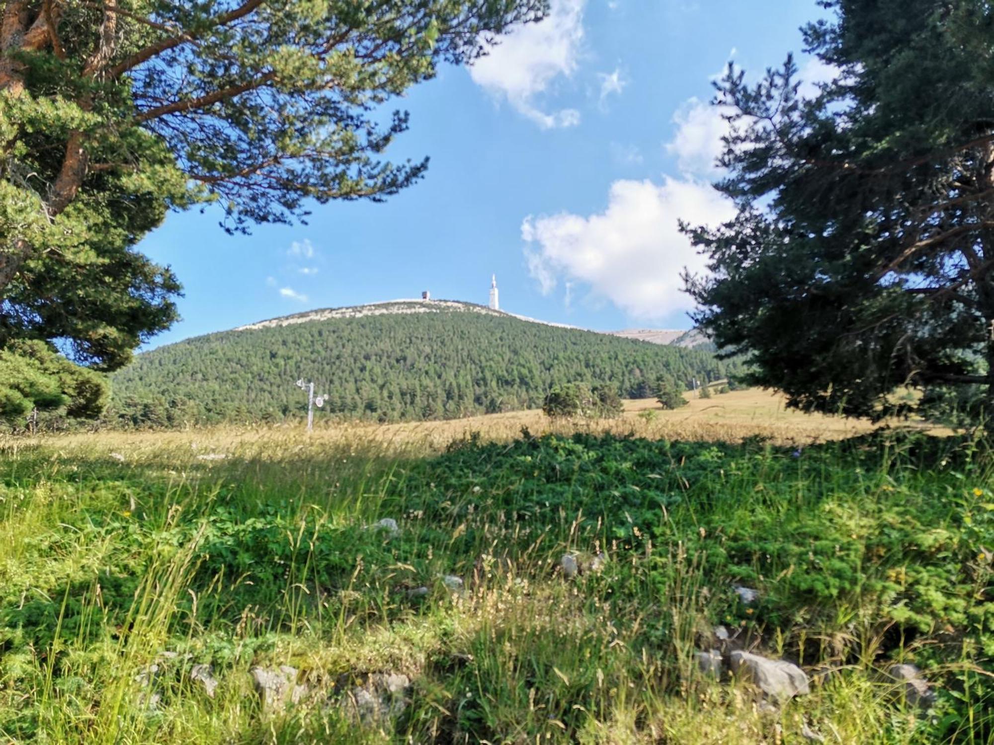 Gite En Provence Lavande Modene Экстерьер фото