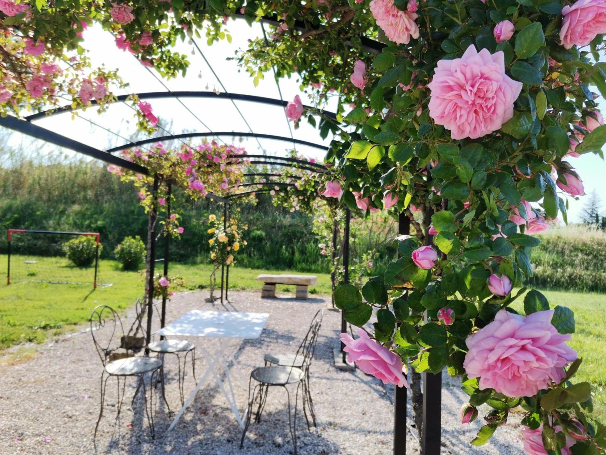 Gite En Provence Lavande Modene Экстерьер фото